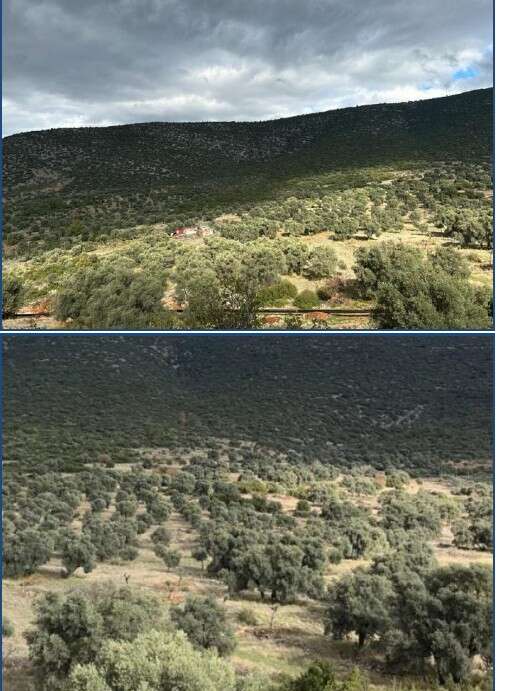 Milas'a 48 MWe Kapasiteli GES ve 2 Milyar TL'lik Dev Yatırım İçin ÇED Olumlu Kararı 6